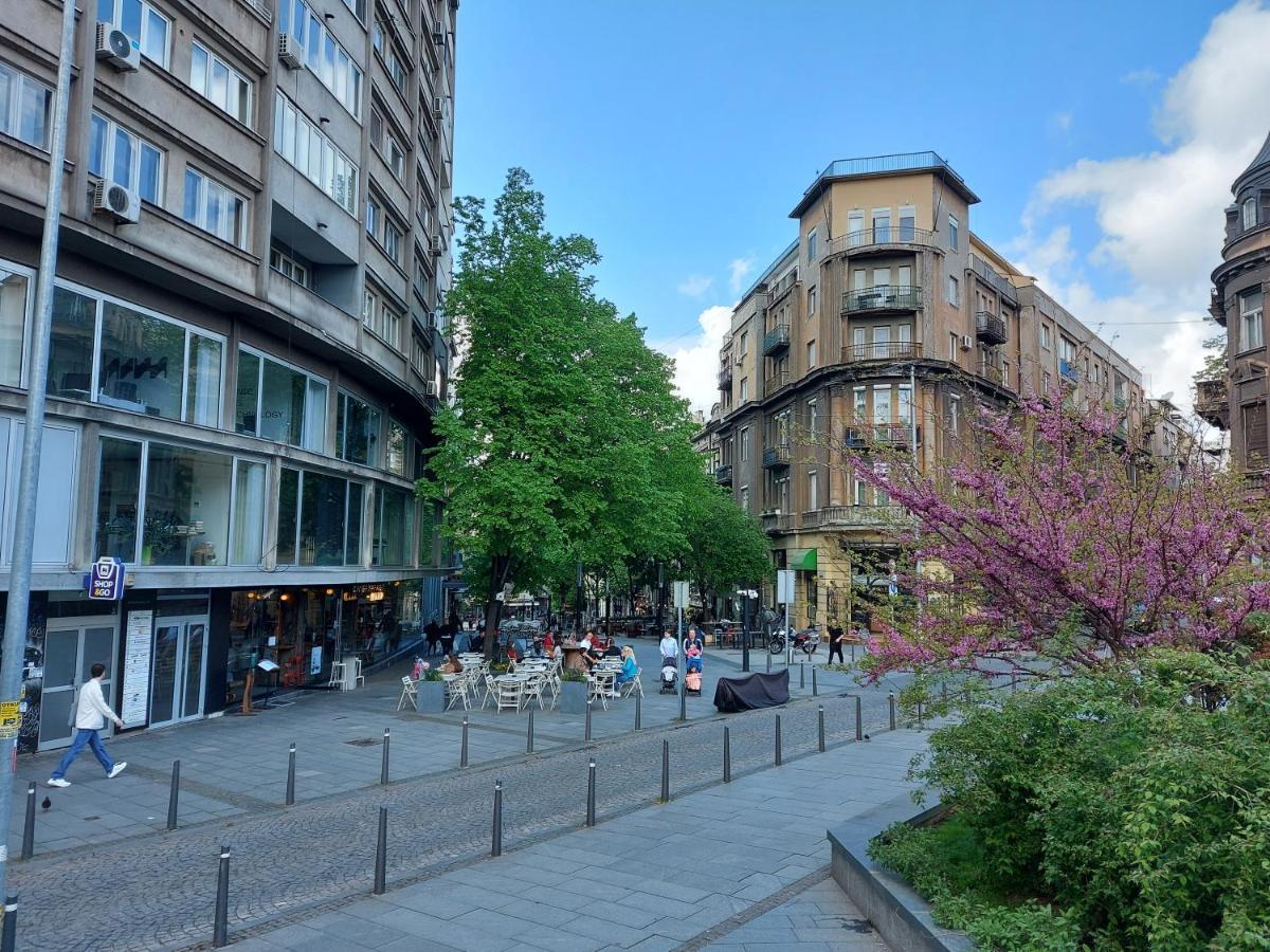 Lotta Apartment Belgrád Kültér fotó